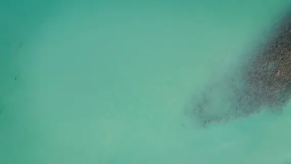 Casino Lucky Luke Suporte